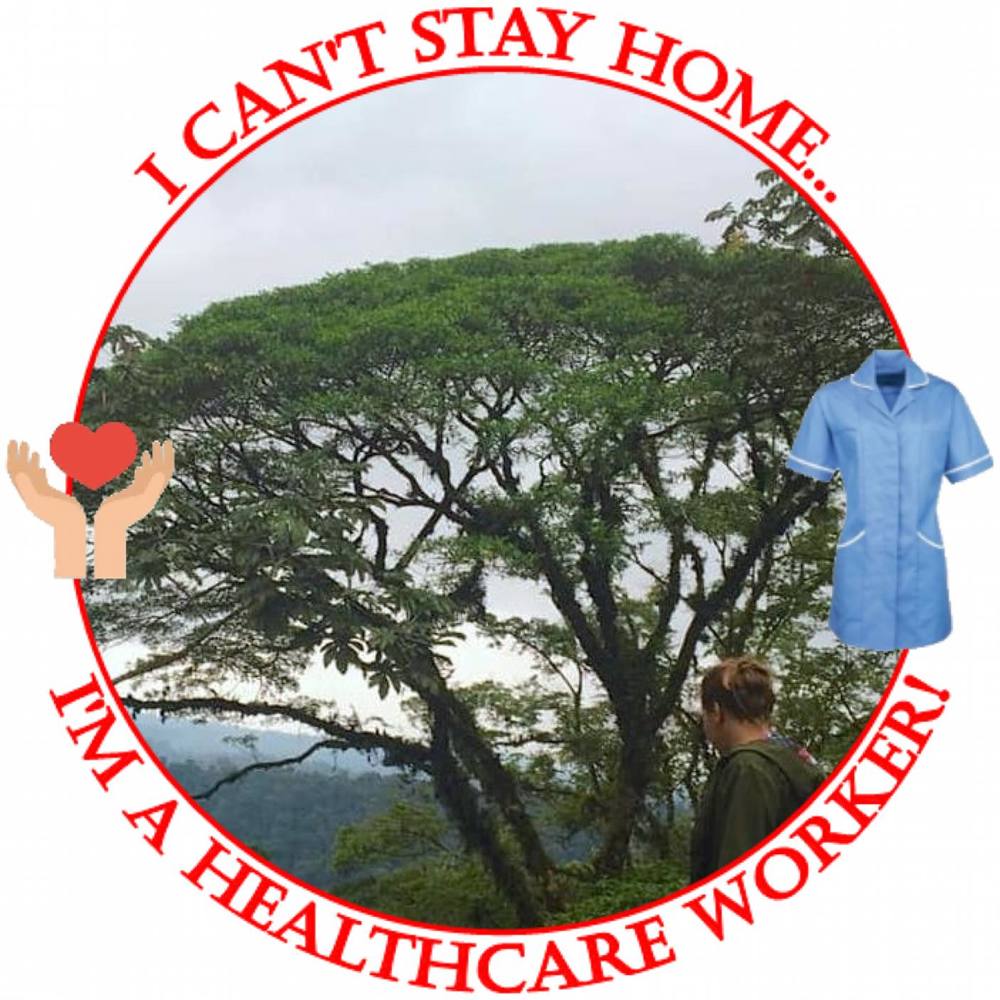 Meet your Posher, Carissa